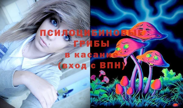 первитин Алексеевка