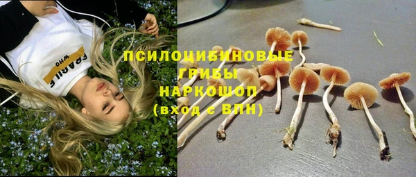 тгк Арсеньев