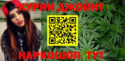 гашик Донской