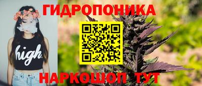 гидра Дубна