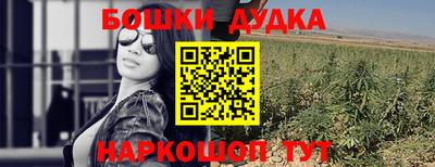 гидра Дубна